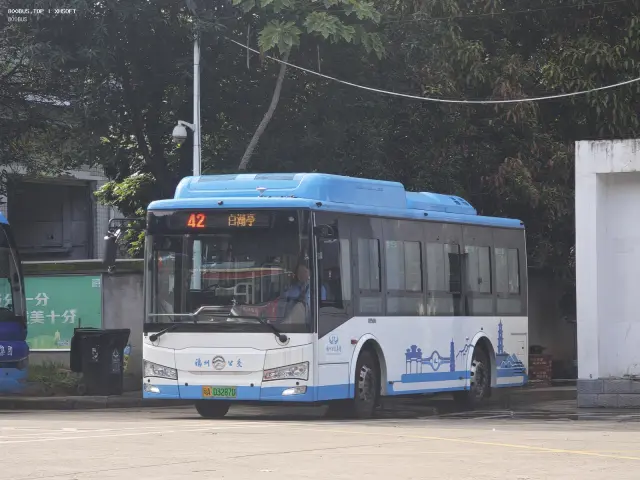 800BUS