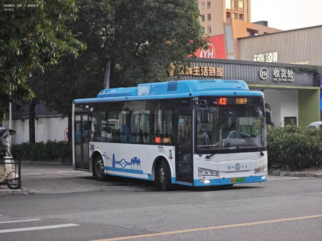 800BUS