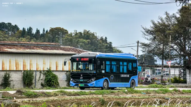 闽A 07773D