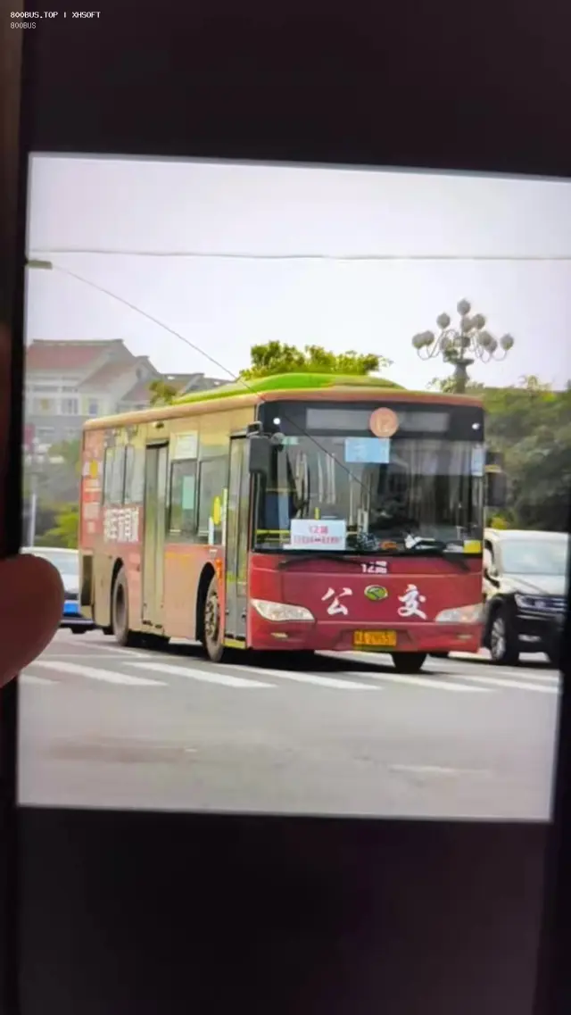 闽A Z9559