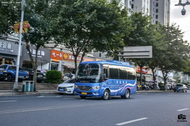 800BUS