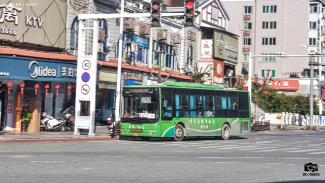 800BUS
