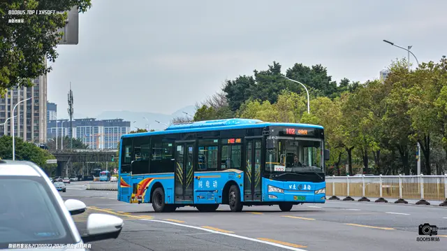 800BUS