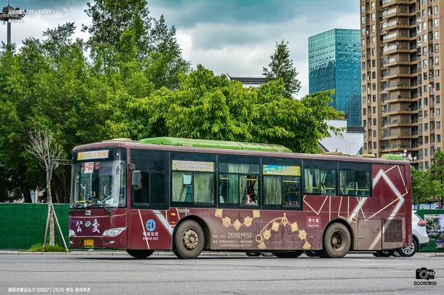 800BUS
