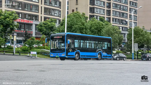 800BUS