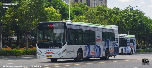 桂A AF530