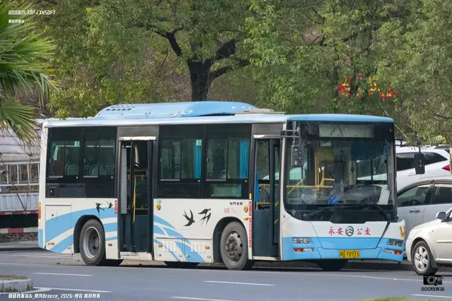闽G Y8915
