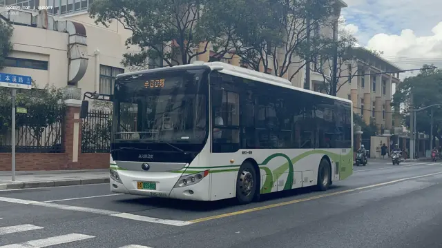 沪A 05546D