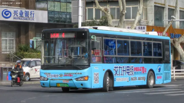 800BUS