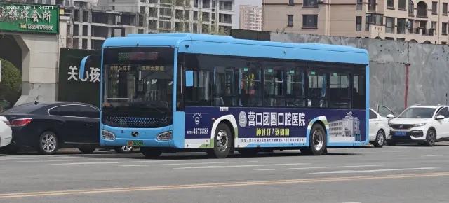 800BUS