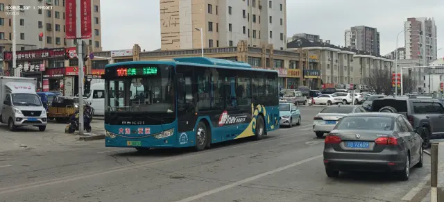 辽B 00331D