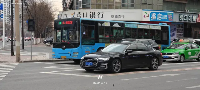 辽C B2517