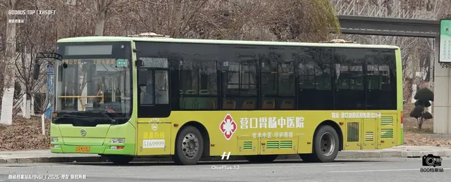 辽H M2052