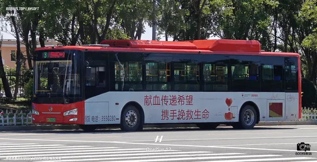 辽H 05662D