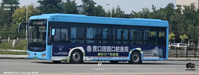 辽H 01552D