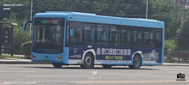 辽H 07196D