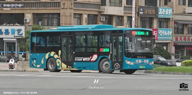 800BUS