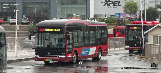 辽B 01923D
