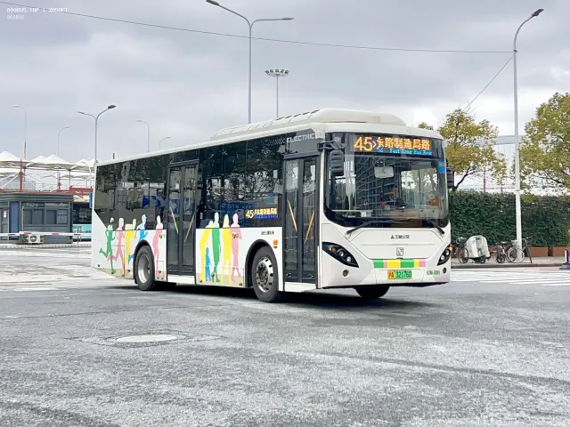 800BUS
