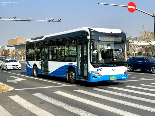 800BUS