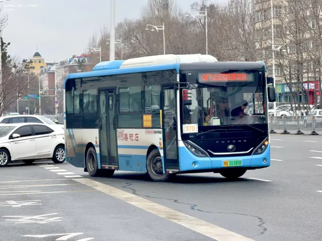800BUS