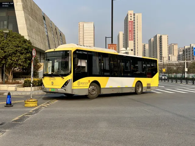 800BUS