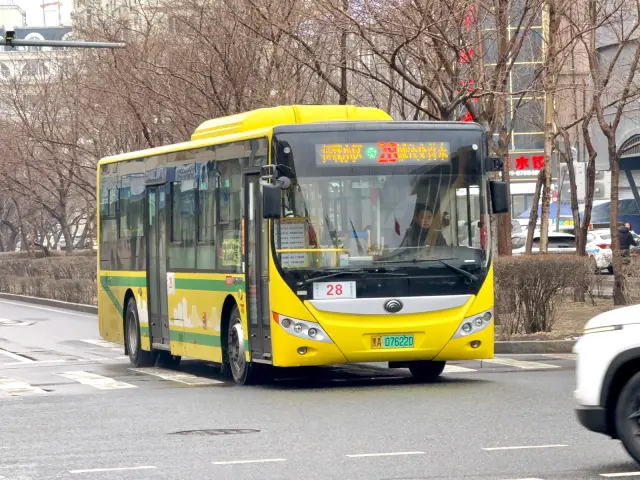 800BUS