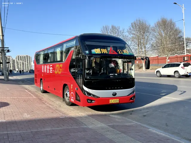 800BUS