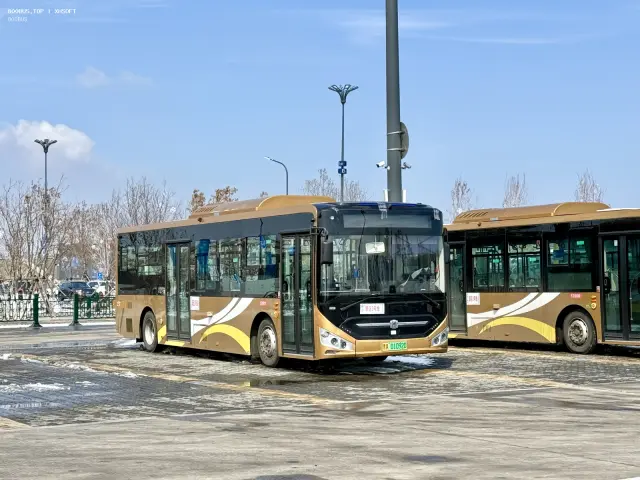 800BUS