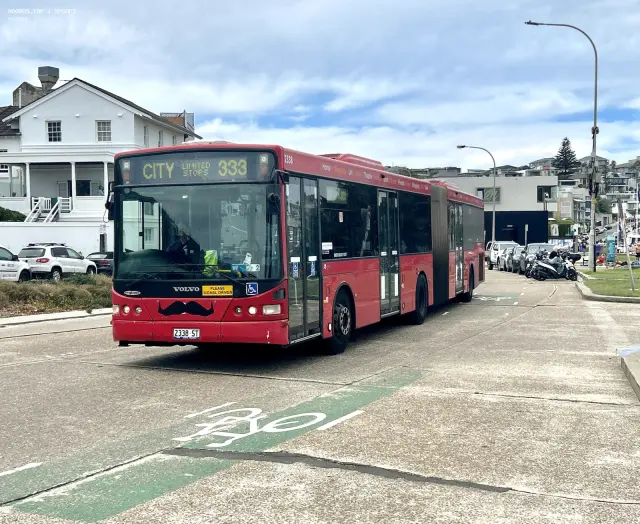 800BUS