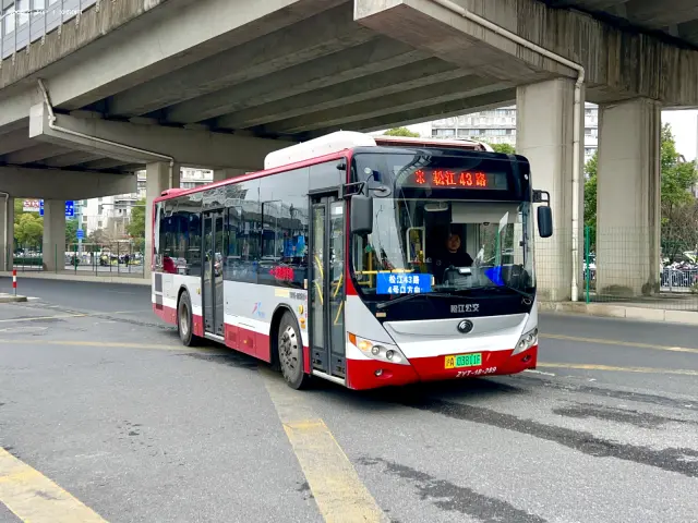 800BUS