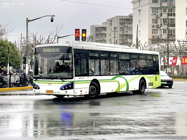 沪D 95427