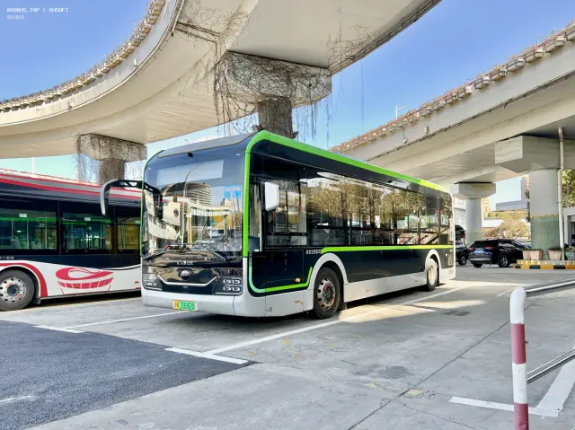 800BUS