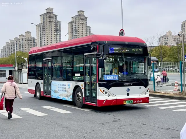 800BUS