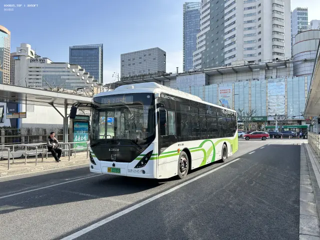 800BUS
