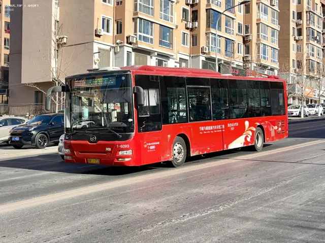 800BUS