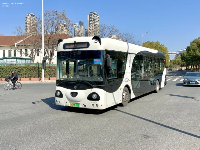 800BUS