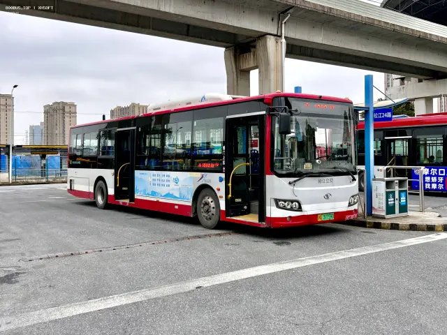 800BUS