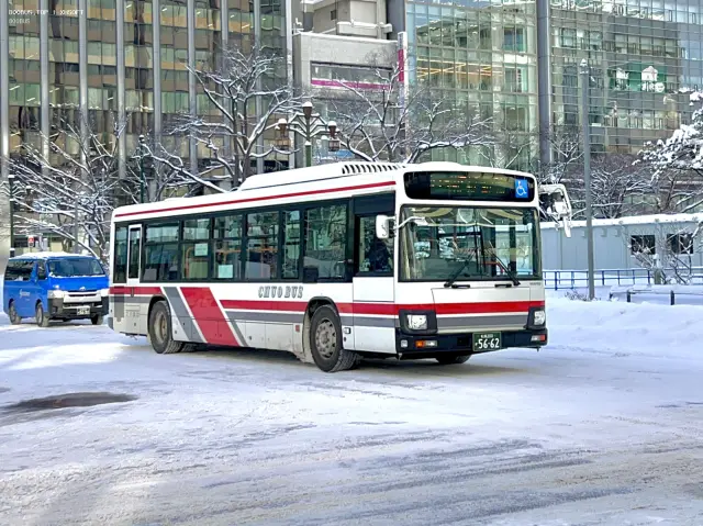 800BUS