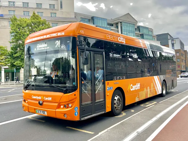 800BUS