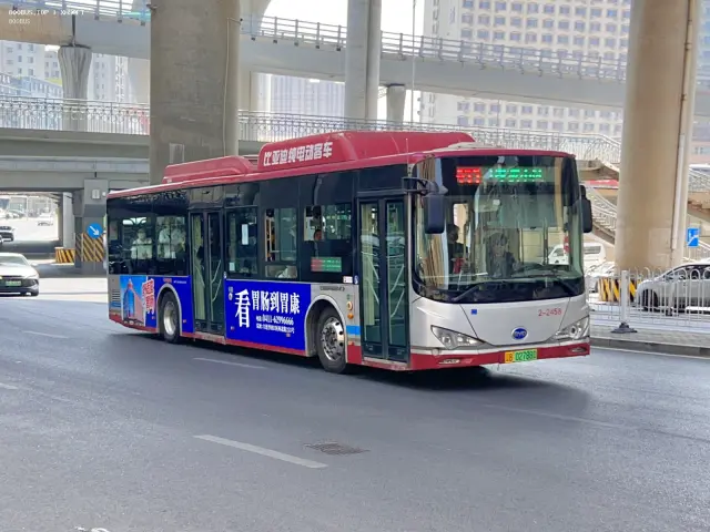 800BUS