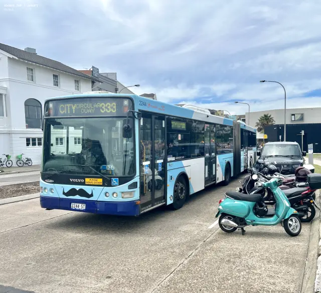 800BUS