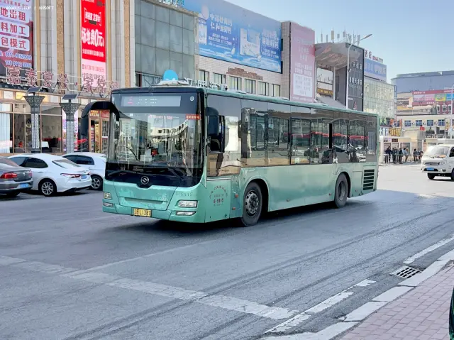 800BUS