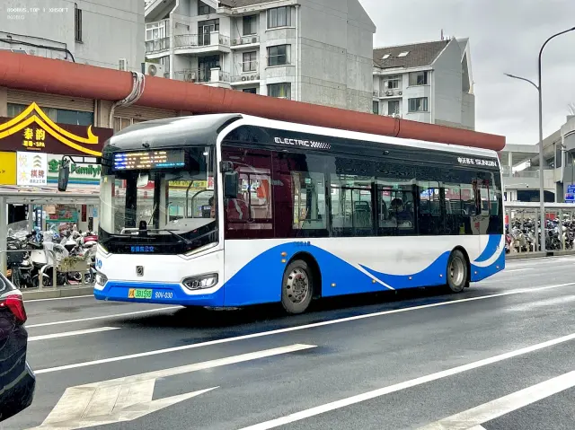 800BUS
