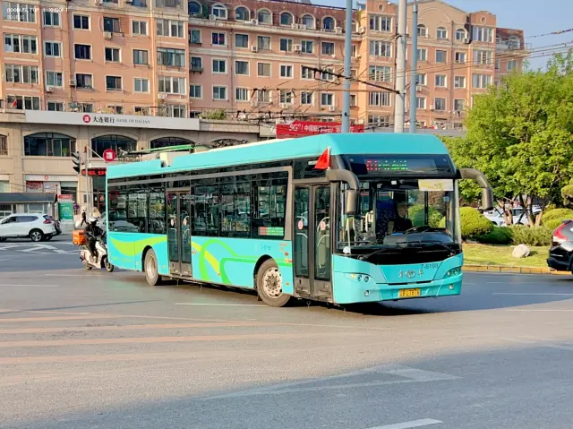 800BUS