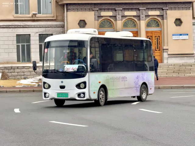800BUS