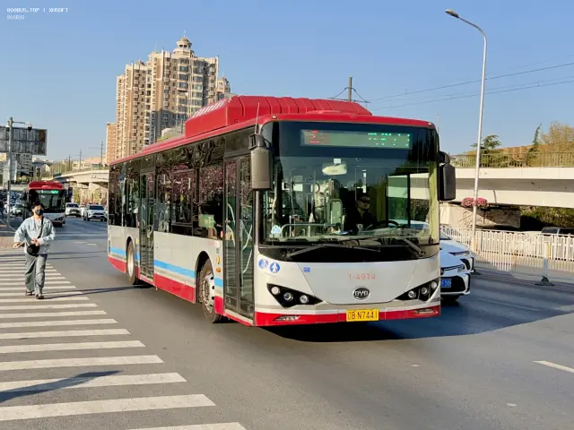 800BUS