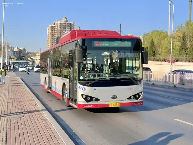 800BUS