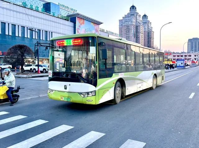 800BUS