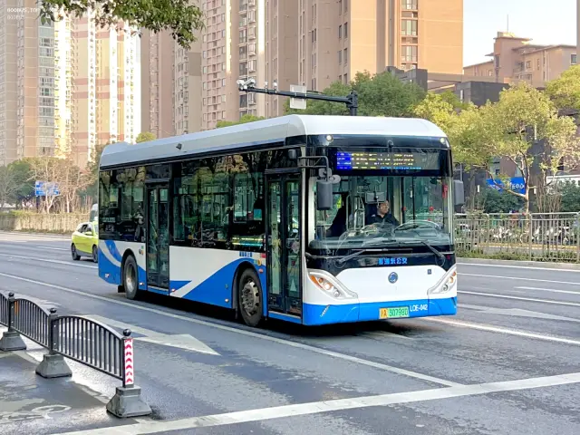 800BUS